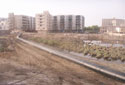 Projects